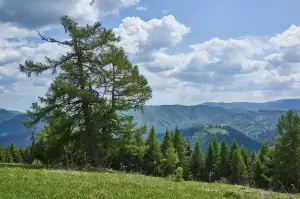 Nová Zelená Úsporám Rekreační Objekt